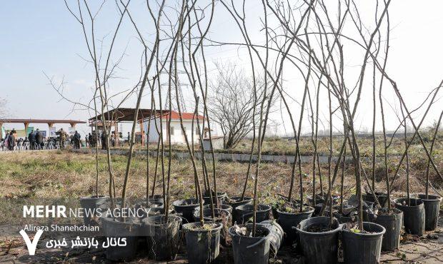 اجرای پویش کویر سبز در ۵۰۰ هکتار اراضی طبیعی استان سمنان – خبرگزاری مهر | اخبار ایران و جهان اجرای پویش کویر سبز در ۵۰۰ هکتار اراضی طبیعی استان سمنان – خبرگزاری مهر | اخبار ایران و جهان