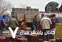 عرضه ۲۰ هزار تن میوه و هزار تن خرما با ۳۰ درصد زیر قیمت بازار – خبرگزاری مهر | اخبار ایران و جهان عرضه ۲۰ هزار تن میوه و هزار تن خرما با ۳۰ درصد زیر قیمت بازار – خبرگزاری مهر | اخبار ایران و جهان