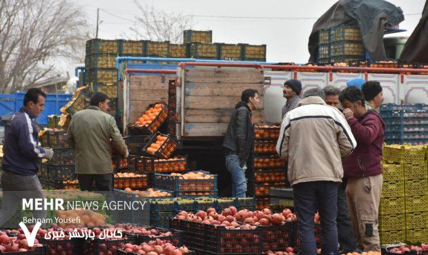 عرضه ۲۰ هزار تن میوه و هزار تن خرما با ۳۰ درصد زیر قیمت بازار – خبرگزاری مهر | اخبار ایران و جهان عرضه ۲۰ هزار تن میوه و هزار تن خرما با ۳۰ درصد زیر قیمت بازار – خبرگزاری مهر | اخبار ایران و جهان