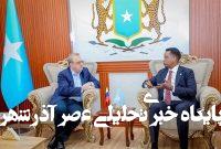 توسعه روابط روسیه و سومالی محور مذاکرات موگادیشو توسعه روابط روسیه و سومالی محور مذاکرات موگادیشو