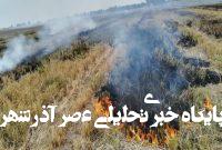 آتش در مزارع خوزستان تهدیدی خاموش علیه خاک و سلامت عمومی – خبرگزاری مهر | اخبار ایران و جهان آتش در مزارع خوزستان تهدیدی خاموش علیه خاک و سلامت عمومی – خبرگزاری مهر | اخبار ایران و جهان