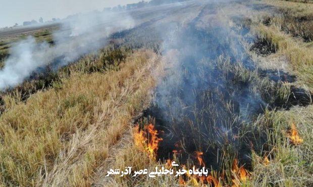آتش در مزارع خوزستان تهدیدی خاموش علیه خاک و سلامت عمومی – خبرگزاری مهر | اخبار ایران و جهان آتش در مزارع خوزستان تهدیدی خاموش علیه خاک و سلامت عمومی – خبرگزاری مهر | اخبار ایران و جهان