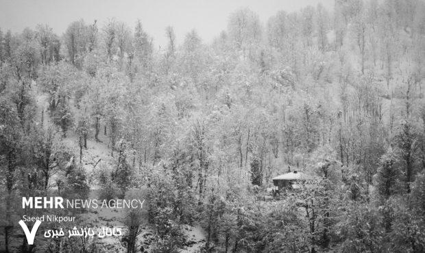 بارش برف بهاری ارتفاعات املش را سفیدپوش کرد بارش برف بهاری ارتفاعات املش را سفیدپوش کرد