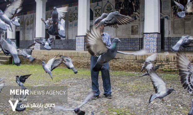 خبرگزاری مهر | اخبار ایران و جهان | Mehr News Agency خبرگزاری مهر | اخبار ایران و جهان | Mehr News Agency