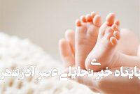 شایعه عجیب درباره روغن حیوانی