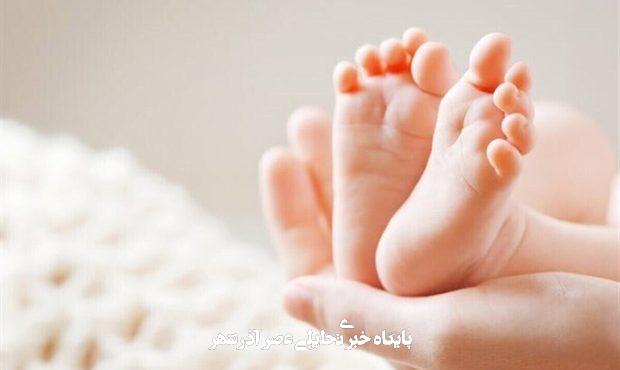 شایعه عجیب درباره روغن حیوانی