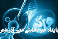 ببینید| هایپر شدن در درمان ناباروری؛ یک عارضه نادر یا خطر واقعی؟ ببینید| هایپر شدن در درمان ناباروری؛ یک عارضه نادر یا خطر واقعی؟