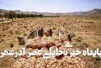 هزاران تن پیاز در دمای ۴۵ درجه جنوب کرمان دپو شد هزاران تن پیاز در دمای ۴۵ درجه جنوب کرمان دپو شد