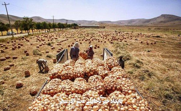 هزاران تن پیاز در دمای ۴۵ درجه جنوب کرمان دپو شد هزاران تن پیاز در دمای ۴۵ درجه جنوب کرمان دپو شد