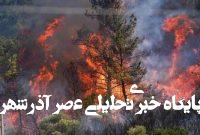 آتش‌سوزی‌های جنگلی گسترده در «ازمیر» ترکیه+ عکس و فیلم