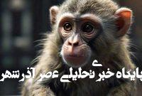 یک میمون با تراشه مغزی نورالینک چیزی را دید که وجود خارجی نداشت! یک میمون با تراشه مغزی نورالینک چیزی را دید که وجود خارجی نداشت!