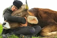 Factory Farming: Cruelty for Humans, Animals and the Planet Factory Farming: Cruelty for Humans, Animals and the Planet