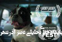 گوسفند ایرانی در آمریکا و ژاپن گوسفند ایرانی در آمریکا و ژاپن