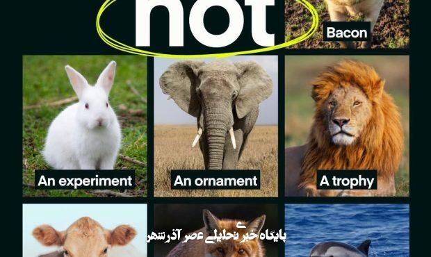 رژیم غذایی گیاهی: راهکاری جامع برای سلامتی انسان، نجات حیوانات و آینده زمین رژیم غذایی گیاهی: راهکاری جامع برای سلامتی انسان، نجات حیوانات و آینده زمین