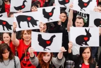 Behind Closed Barn Doors: Humane Foundation Urges Action Against the Hidden Cruelty of Factory Farms Behind Closed Barn Doors: Humane Foundation Urges Action Against the Hidden Cruelty of Factory Farms