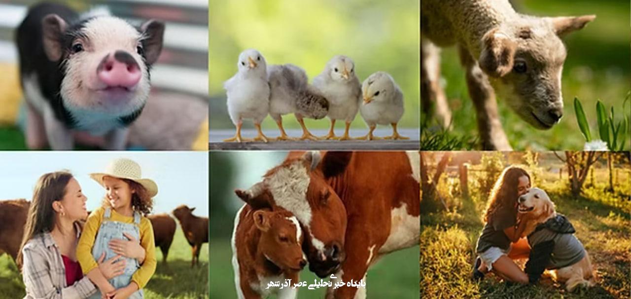 https://cruelty.farm/animals