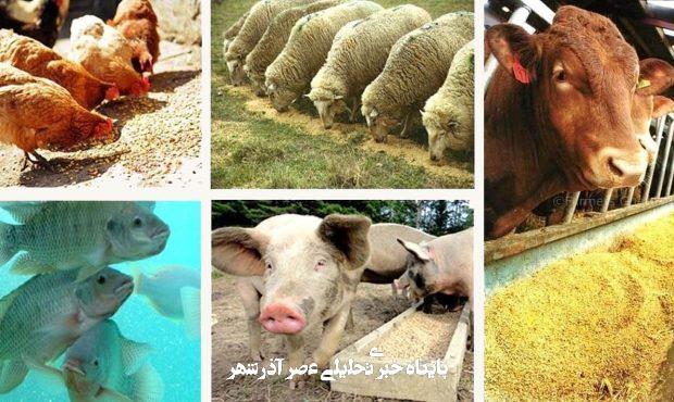 مضرات پروتئینهای حیوانی برای سلامت انسان: نگاهی علمی و انتقادی مضرات پروتئینهای حیوانی برای سلامت انسان: نگاهی علمی و انتقادی