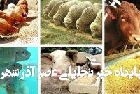 حقیقت پشت پرده: بررسی علمی شایعات درباره مضرات رژیم گیاهی و وگان حقیقت پشت پرده: بررسی علمی شایعات درباره مضرات رژیم گیاهی و وگان