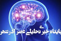 مغز انسان نور ساطع میکند؟ / کشف شگفتانگیز دانشمندان مغز انسان نور ساطع میکند؟ / کشف شگفتانگیز دانشمندان