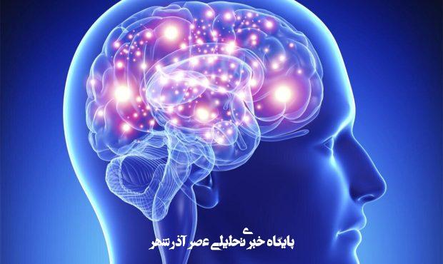 مغز انسان نور ساطع می‌کند؟ / کشف شگفت‌انگیز دانشمندان