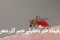 تب دنگی چه طور وارد می شود؟علاقه‌مندی پشه آئدس به لاستیک
