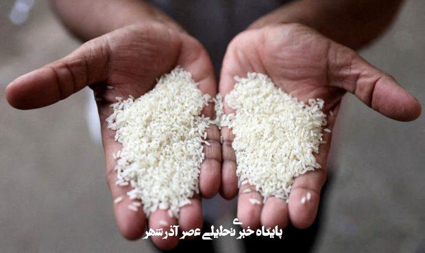 برنج ایرانی به زودی ارزانمی شود/ ریزش شدید قیمتها تا دو هفته آینده برنج ایرانی به زودی ارزانمی شود/ ریزش شدید قیمتها تا دو هفته آینده