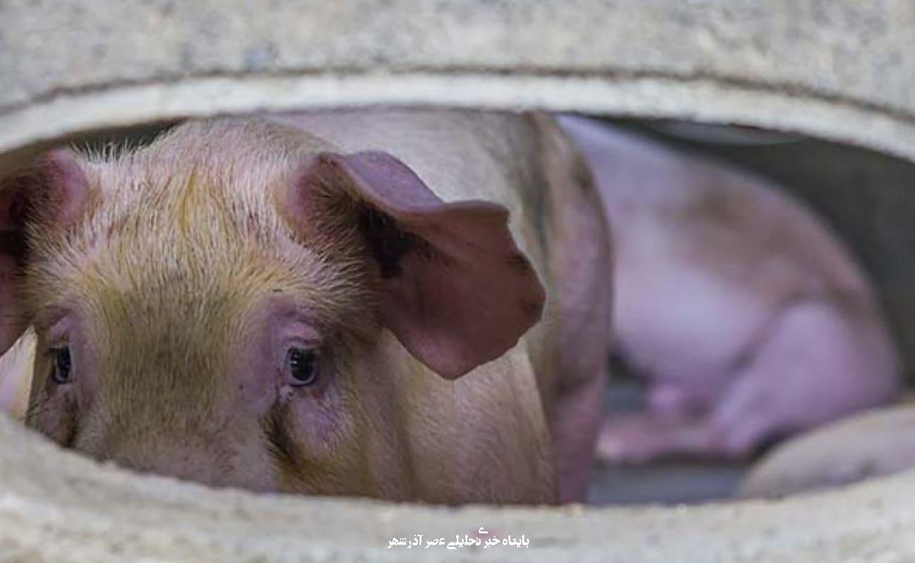 e1942c07 18be 4de1 b3ae 31eb5d29e08f