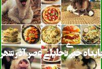 گوشت و لبنیات و تخم‌مرغ: گذرگاهی به سوی بیماری؟