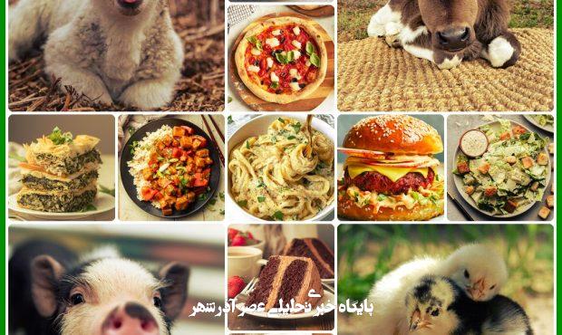 گوشت و لبنیات و تخممرغ: گذرگاهی به سوی بیماری؟ گوشت و لبنیات و تخممرغ: گذرگاهی به سوی بیماری؟