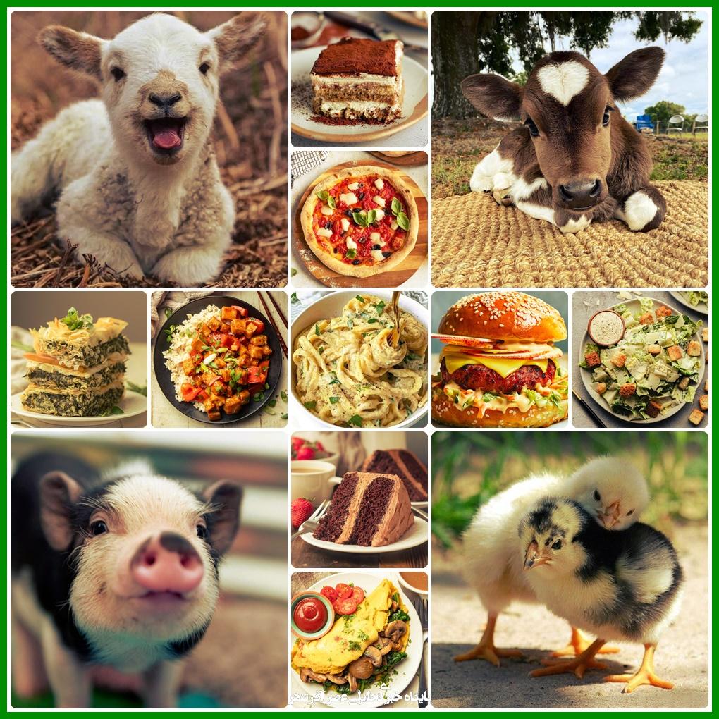 ebc07765 ea90 42f5 9e75 25079233c6ed