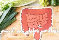 ۵ عادت طلایی برای داشتن روده‌ای سالم
