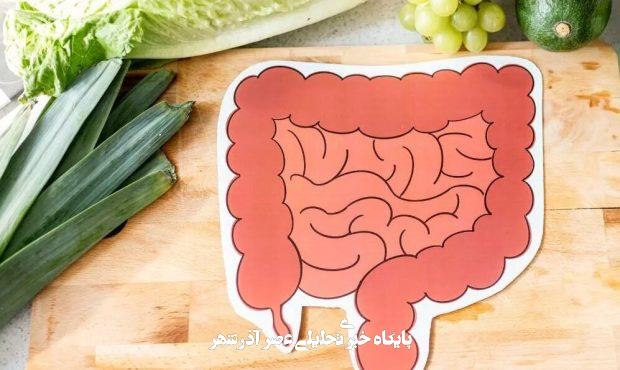 ۵ عادت طلایی برای داشتن رودهای سالم ۵ عادت طلایی برای داشتن رودهای سالم