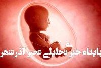 سامانه ثبت سقط جنین راهاندازی شد سامانه ثبت سقط جنین راهاندازی شد