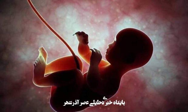 دبیر ستاد ملی جمعیت: ۸۷ درصد جوانان ۱۸ تا ۳۵ ساله تمایل به صفر تا دو فرزند دارند/ نرخ فعلی باروری در کشور به حدود ۱.۴۴ رسیده دبیر ستاد ملی جمعیت: ۸۷ درصد جوانان ۱۸ تا ۳۵ ساله تمایل به صفر تا دو فرزند دارند/ نرخ فعلی باروری در کشور به حدود ۱.۴۴ رسیده