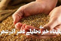 گندمکاران حتما بخوانند/ فرمول تعیین نرخ گندم مشخص شد