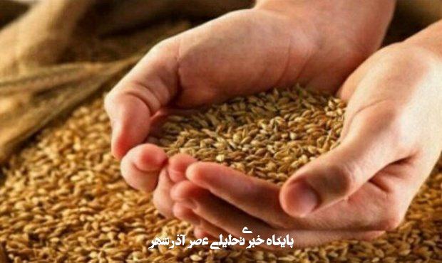 گندمکاران حتما بخوانند/ فرمول تعیین نرخ گندم مشخص شد