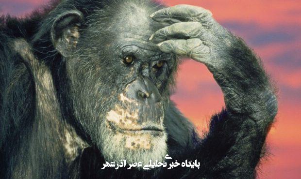 شامپانزه‌ها دروغ را تشخیص می‌دهند و عقیده‌شان را عوض می‌کنند!