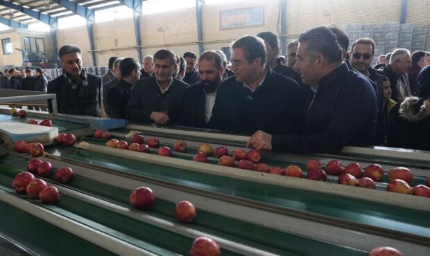 سردخانه ۲۰۰۰ تنی و ۲ واحد سورتینگ بسته‌بندی میوه در اشنویه افتتاح شدند