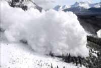 کشف دومین پیکر فوتی مفقود شدگان حادثه ریزش بهمن در روستای آلواتان / دو نفر زنده پیدا شدند