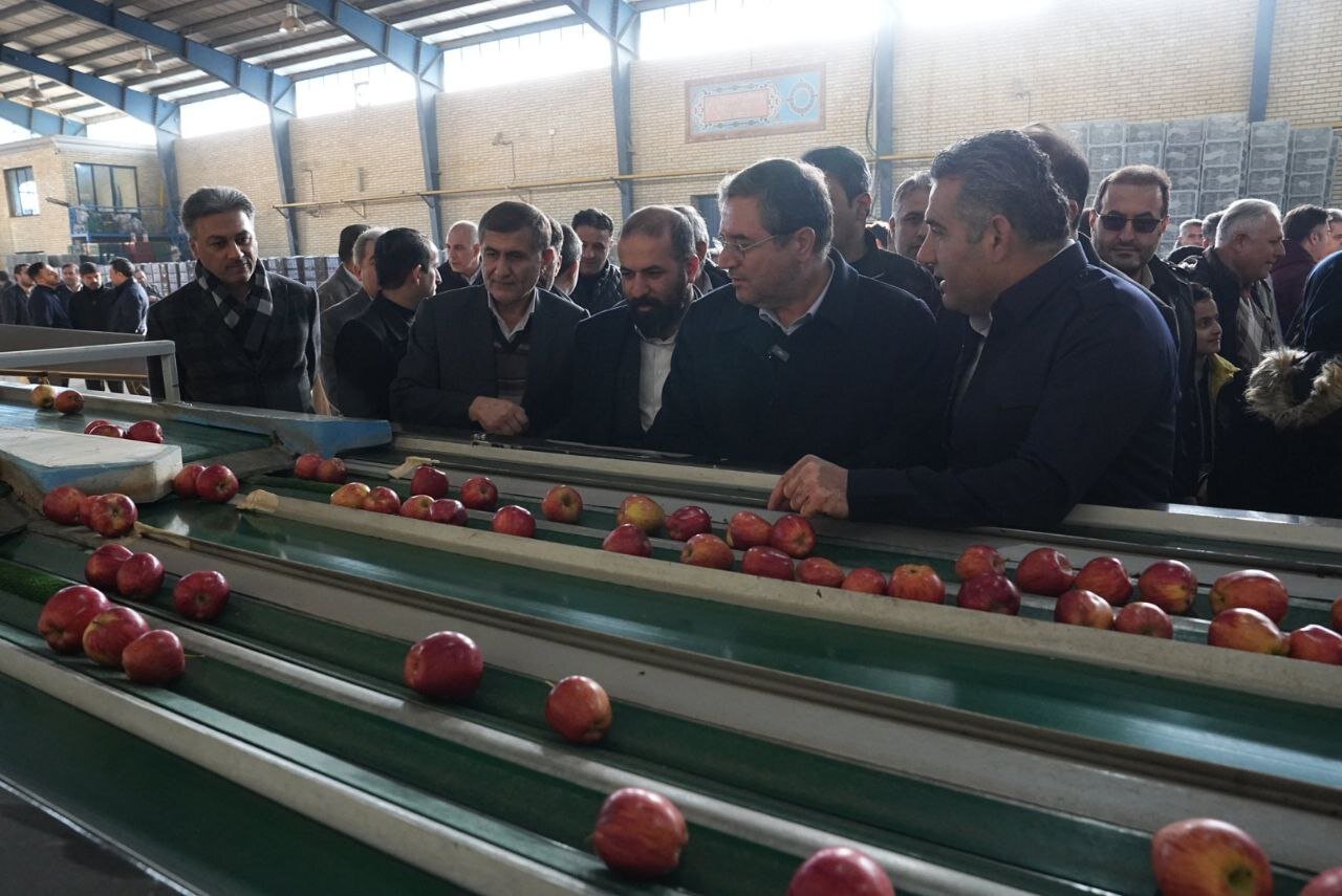 ۲۰۰۰ تنی و ۲ واحد سورتینگ بسته‌بندی میوه در